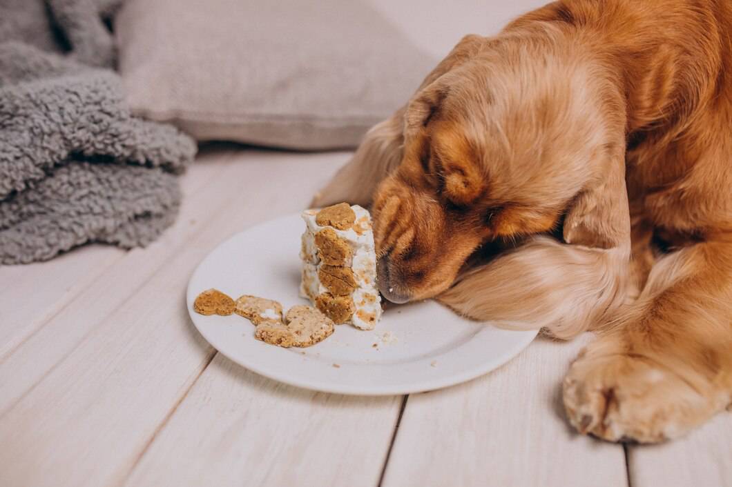 Jakie składniki powinny być unikane w diecie twojego psa?