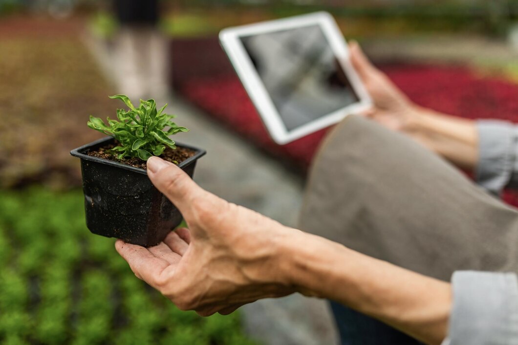 Technologia w służbie zieleni: jak inteligentne rozwiązania mogą ułatwić pielęgnację ogrodu